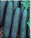Rohini/रोहिणी Cucumber (Seminis) - Farmers Stop