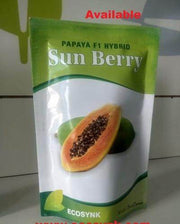 Sun Berry/सन बेरी F1 Hybrid Papaya (Aus ecowell) - Farmers Stop