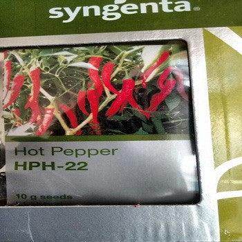 HPH 22 Hot Pepper (Syngenta) - Farmers Stop