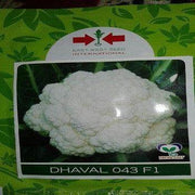 Dhaval/धवल 043 Cauliflower (East West Seed) - Farmers Stop