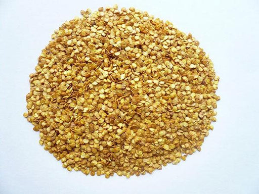 Arunim/अरुणिम Hot pepper (Seminis) - Farmers Stop