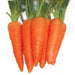 NS 854 Carrot (Namdhari Seeds) - Farmers Stop