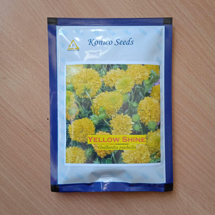 yellow shine/येलो शाइन नवरंगा/gaillardia pure yellow flower seeds (konico seeds)