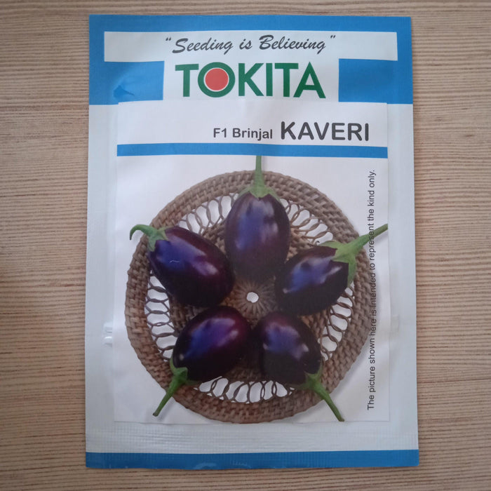 kaveri f1 hybrid brinjal (tokita seed's)