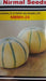 Nirmal's Hybrid Muskmelon NMMH-24 (Nirman Seeds) - Farmers Stop