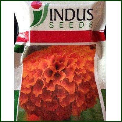 Deep Orange/गहरा नारंगी Marigold (Indus Seeds) - Farmers Stop