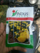 Sweet Yellow Marigold ( Indus Seeds) - Farmers Stop