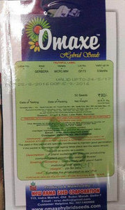 Gerbera/जरबेरा Flower Seeds (Omax Seeds) - Farmers Stop
