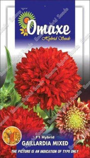 Gaillardia/गैलार्डिया F1 Mixed Flower Seeds (Omax Seeds) - Farmers Stop