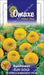 Sungold-Teddy Bear/ सनगोल्ड -टेडी बीअर Sunflower Seeds (Omax Seeds) - Farmers Stop