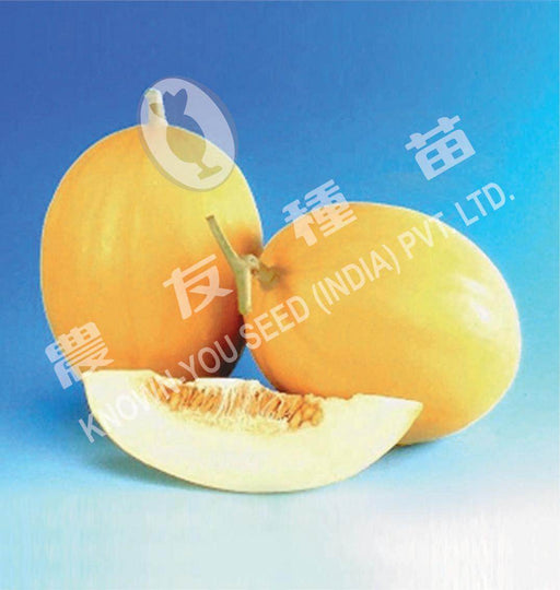Kohinoor/कोहिनूर- 2 Muskmelon  (Known You Seeds) - Farmers Stop