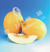 Kohinoor/कोहिनूर- 2 Muskmelon  (Known You Seeds) - Farmers Stop