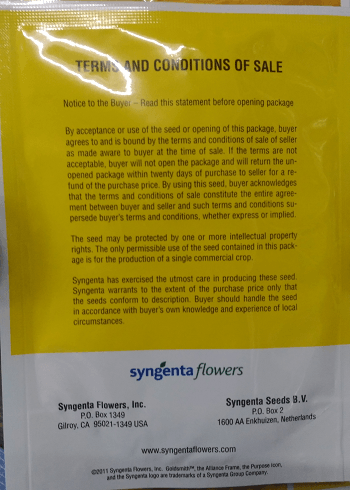 Inca F1 Hybrid African Marigold (Goldsmith/SFlowers) - Farmers Stop