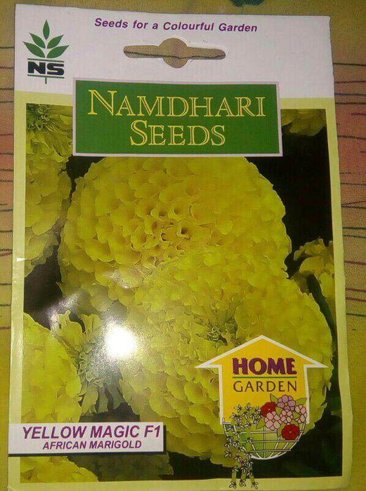 namdhari marigold seeds Buy Yellow Magic/येलो मैजिक F1 African Marigold (Namdhari Seeds) | FarmersStop