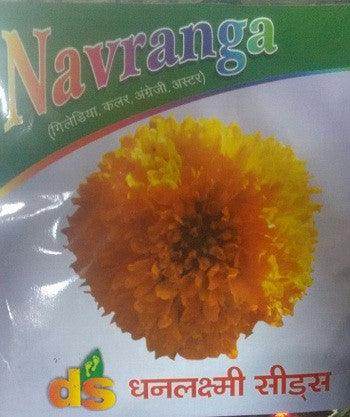 Navranga/नवरंगा Flower Seeds (Dhanlakshmi Seeds) - Farmers Stop