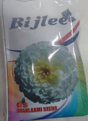 Beejli/बिजली Flower Seeds (Dhanlakshmi Seeds) - Farmers Stop