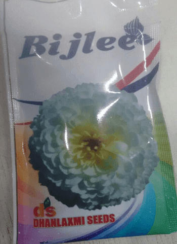 Beejli/बिजली Flower Seeds (Dhanlakshmi Seeds) - Farmers Stop