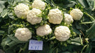 Ragini/रागिनी Hybrid Cauliflower (Known You Seeds) - Farmers Stop