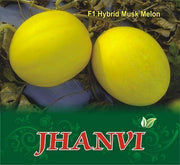 Jhanvi/जानवी Hybrid Muskmelon (Sagar Biotech Seeds) - Farmers Stop