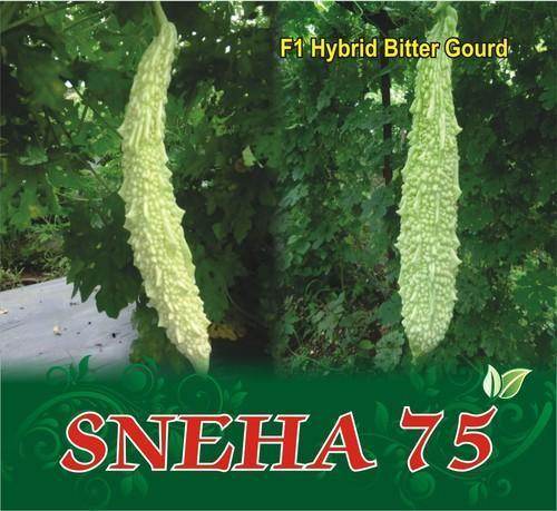 Sneha/स्नेहा Bittergourd (Sagar Biotech Seeds) - Farmers Stop