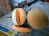 Kasturi/कस्तूरी Hybrid Muskmelon (Sagar Biotech Seeds) - Farmers Stop