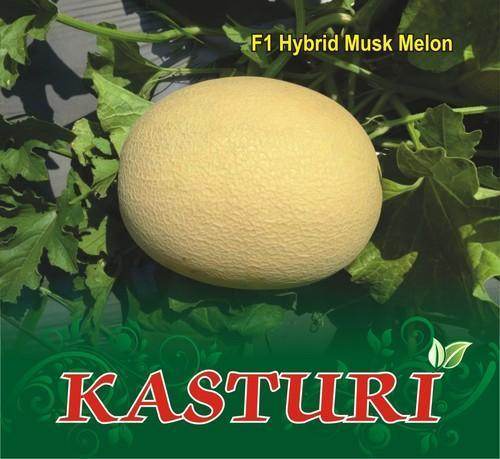Kasturi/कस्तूरी Hybrid Muskmelon (Sagar Biotech Seeds) - Farmers Stop