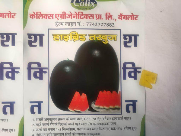 Shakti/शक्ति Hybrid watermelon (Calyx Agri-Genetics) - Farmers Stop