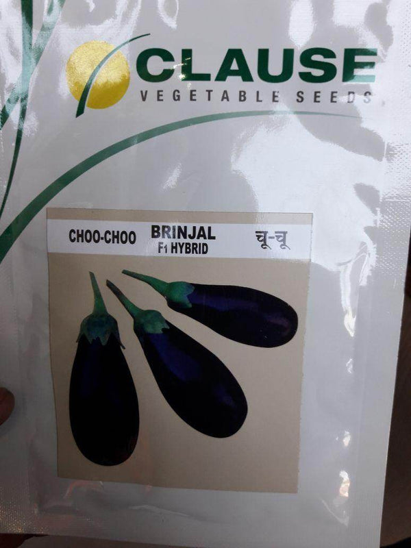 Choo Choo/चू चू Hybrid F1 Brinjal (Clause Seeds) - Farmers Stop