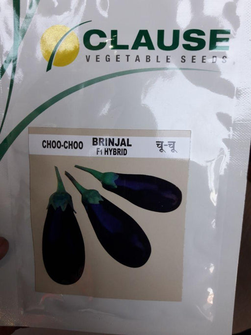 Choo Choo/चू चू Hybrid F1 Brinjal (Clause Seeds) - Farmers Stop