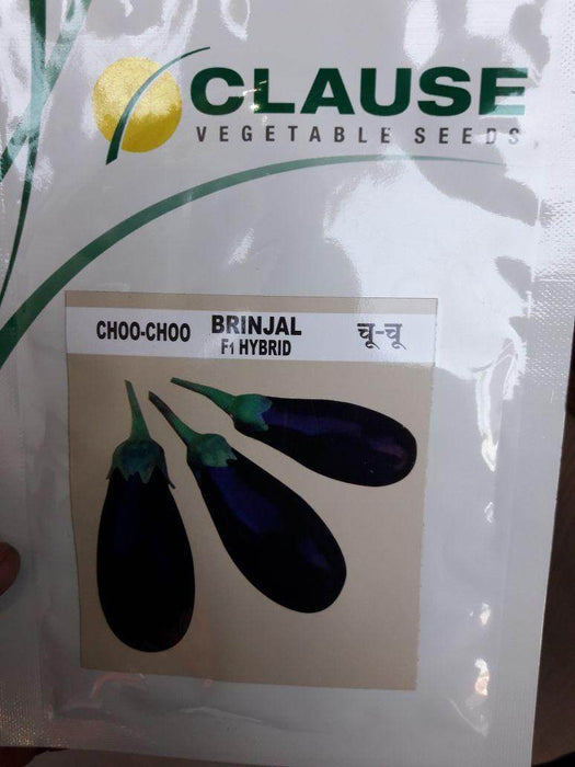 Choo Choo/चू चू Hybrid F1 Brinjal (Clause Seeds) - Farmers Stop