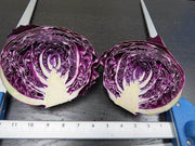 Scarlet Hybrid Cabbage (Known You Seeds) - Farmers Stop