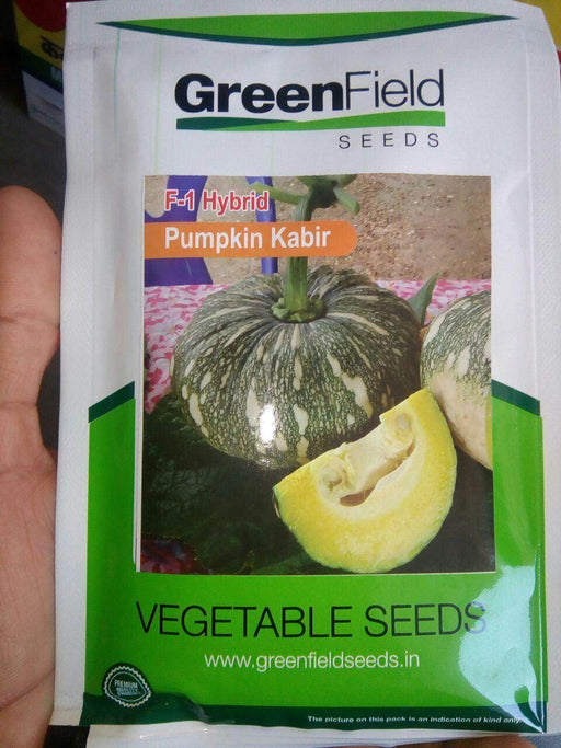 Kabir/कबीर Pumpkin Seeds (Green Field Seeds) - Farmers Stop