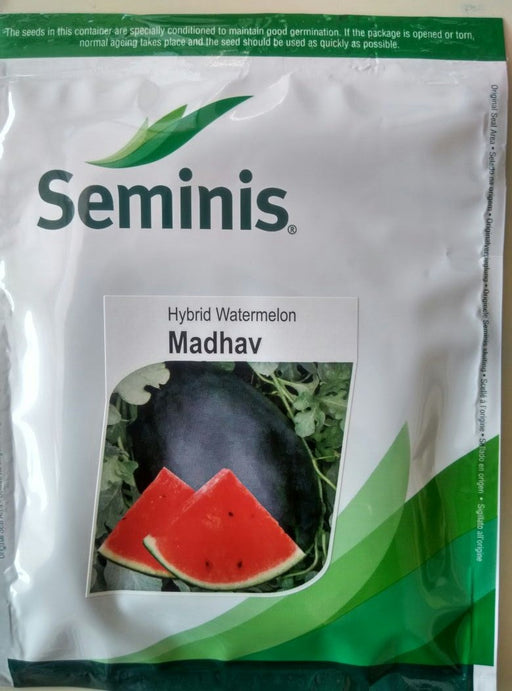 Madhav/माधव Hybrid Watermelon (Seminis) - Farmers Stop