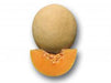 NS 915 Hybrid Muskmelon (Namdhari Seeds) - Farmers Stop