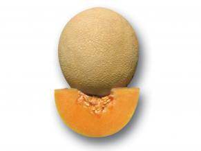 NS 915 Hybrid Muskmelon (Namdhari Seeds) - Farmers Stop