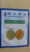 Sun Rise/सन राइज F1 Hybrid Muskmelon (Known You Seeds) - Farmers Stop