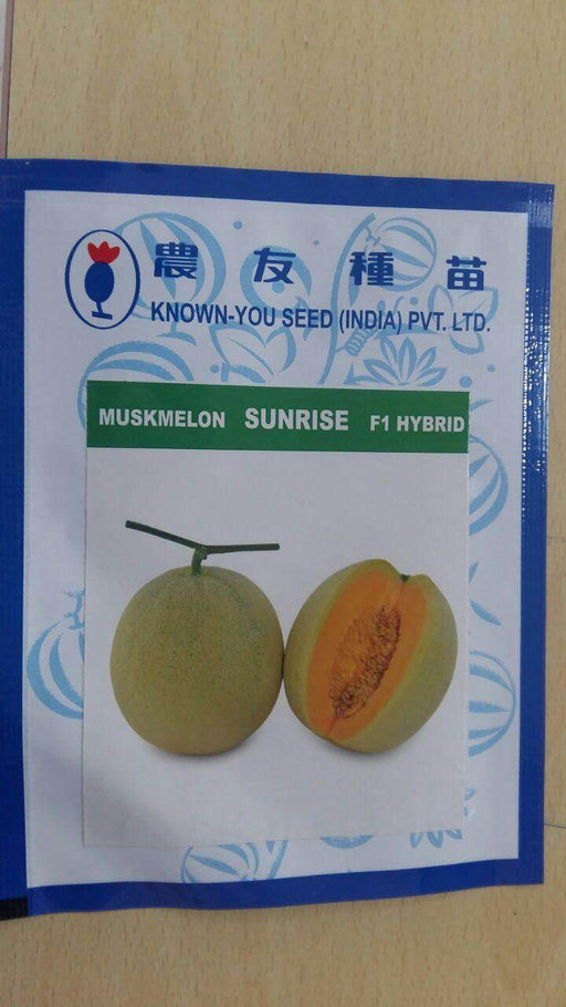 Sun Rise/सन राइज F1 Hybrid Muskmelon (Known You Seeds) - Farmers Stop