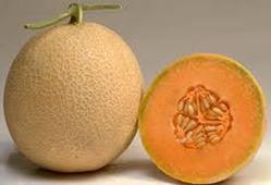 Trisha 2/तृषा 2 Muskmelon (Known You Seeds) - Farmers Stop