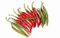 Roshni/रौशनी Hot pepper (Syngenta) - Farmers Stop