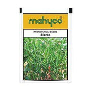 Sierra/सिएरा Hot Pepper (Mahyco) - Farmers Stop