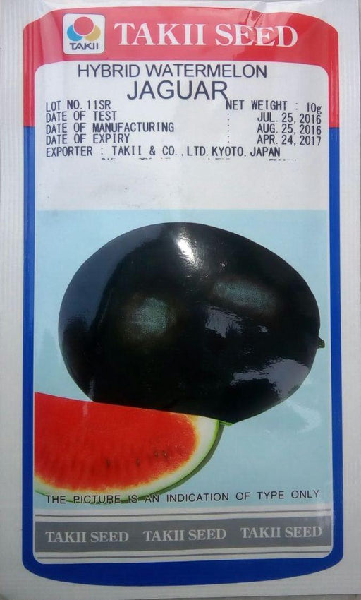 Jaguar/जैगुआर F1 Watermelon Sugar baby type (Takii Seeds) - Farmers Stop