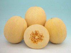 Mridula/मृदुला Muskmelon (Known You Seeds) - Farmers Stop