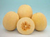 Mridula/मृदुला Muskmelon (Known You Seeds) - Farmers Stop