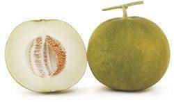 Ramya/राम्या Hybrid Muskmelon (Known You Seeds) - Farmers Stop