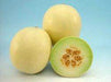 Madhumati/मधुमती Hybrid Muskmelon (Known You Seeds)-For Polyhouse - Farmers Stop