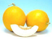 Suvarna/सुवर्णा Hybrid Muskmelon (Known You Seeds) - Farmers Stop