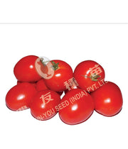 Sudharak/सुधारक Hybrid Tomato (Known You Seeds) - Farmers Stop