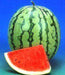 Renuka/रेणुका Hybrid watermelon (Known You Seeds) - Farmers Stop