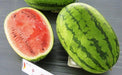 China Dragon/चाइना ड्रैगन Hybrid watermelon (Known You Seeds) - Farmers Stop