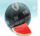 Poonam/पूनम Hybrid watermelon (Known You Seeds) - Farmers Stop